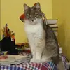 Отзыв от Арина Верещагина